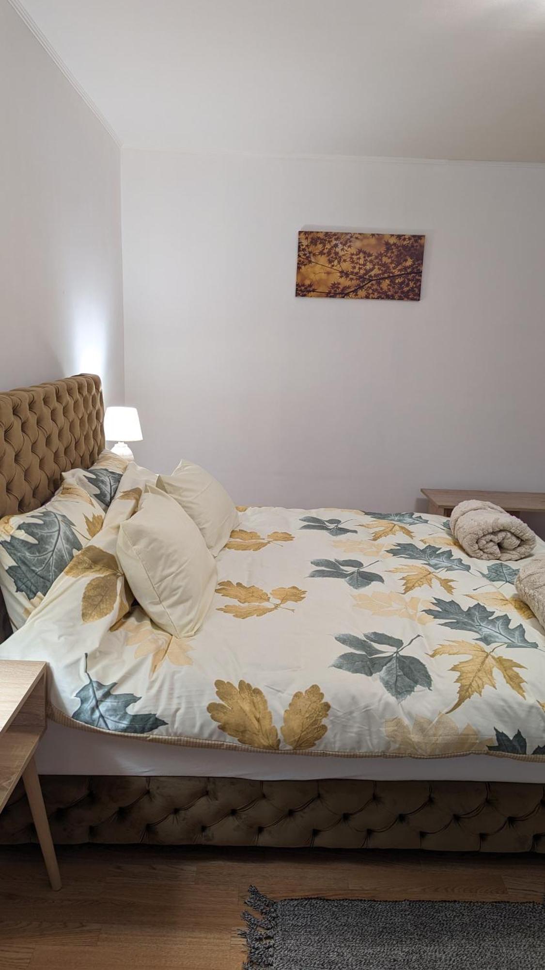 A&M Apartmani Subotica Dış mekan fotoğraf